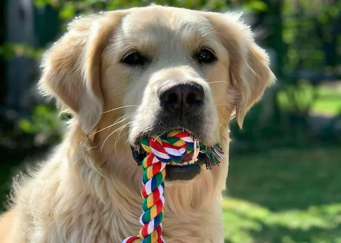 Apartment Family-friendly In The Oderbruch