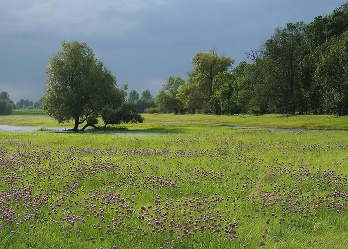 Family-friendly In The Oderbruch Genschmar